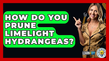 How Do You Prune Limelight Hydrangeas? - LearnToDIY360.com