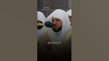 سوره القلم بصوت الشيخ ماهر بن حمد المعيقلي ❤️ #ماهر_المعيقلي#قران_كريم#تلاوة_خاشعة#اجر_لي_ولك#تلاوات