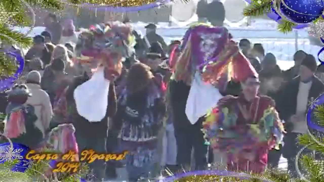 Capra de la Tiganasi 2014