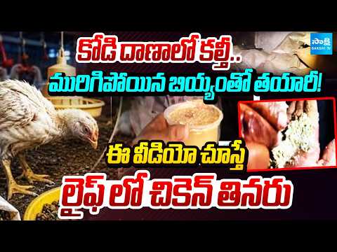 కోళ్లను చంపుతున్న కేటుగాళ్లు | Adulterated Feed Busted In Miryalaguda | Ground Report | @SakshiTV - SAKSHITV