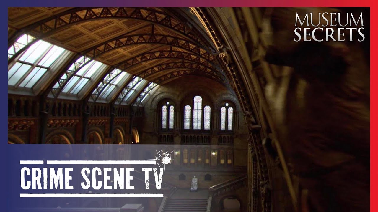 Documentary backdrop image for Inside the Natural History Museum, London | Museum Secrets 2/22 (2025)