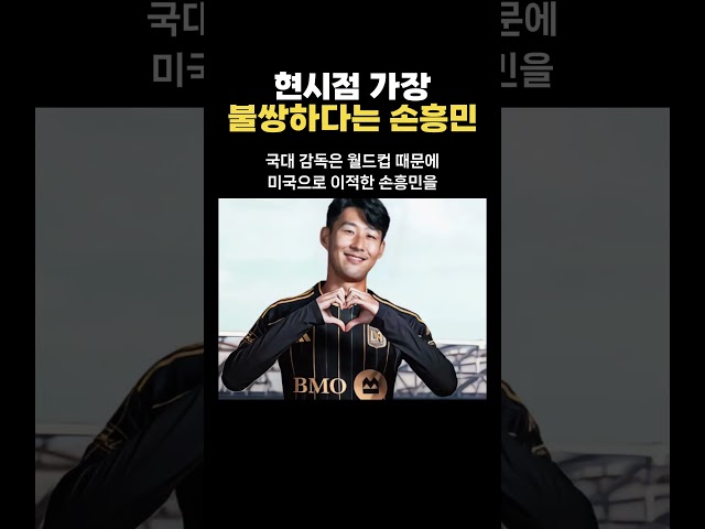 현시점 가장 불쌍한 인물 손흥민