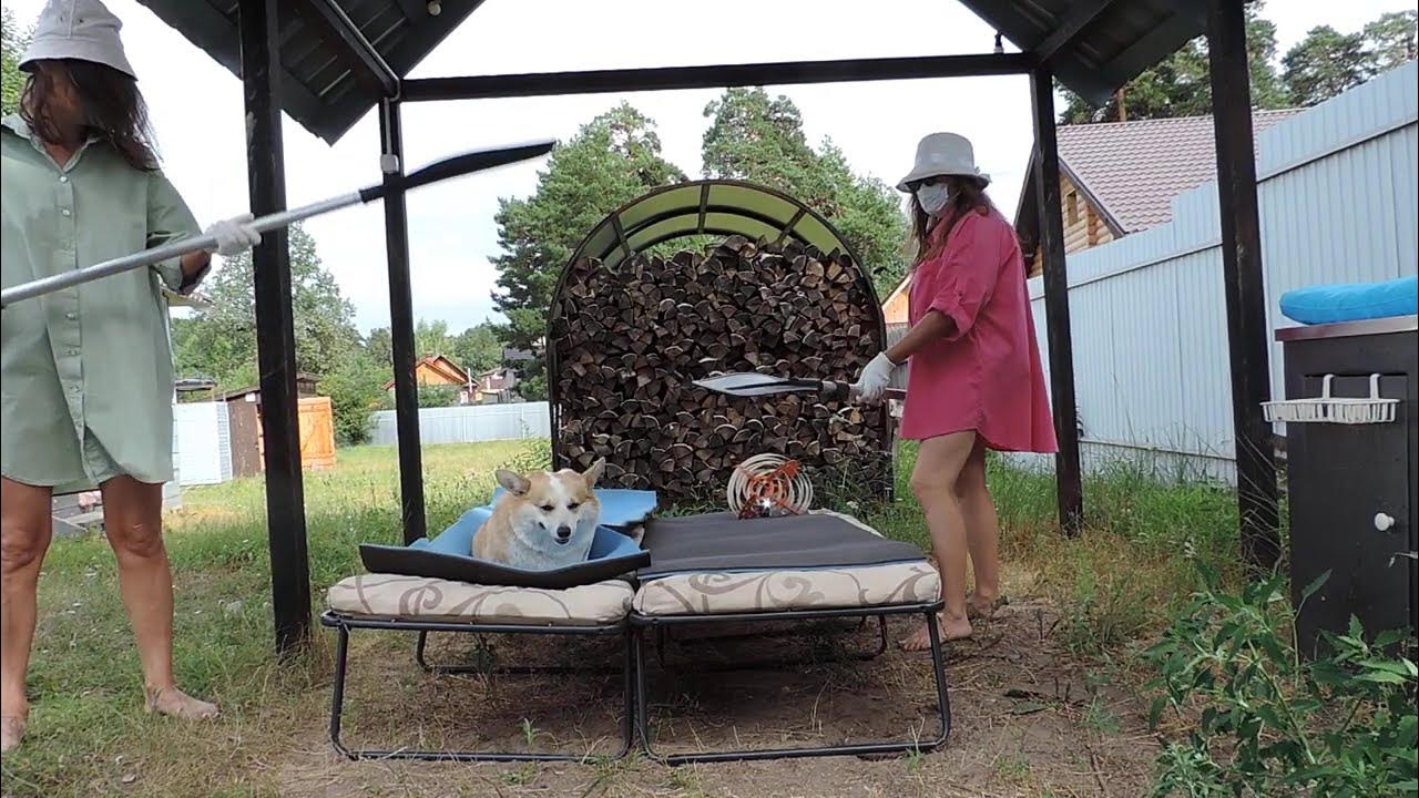 Эксплуатация человека собакой! - YouTube