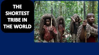 MEET THE AFRICAN PYGMIES II A RARE TRIBE LIVING IN CENTRAL AFRICA II TELL A TALE WITH NAYOMIE