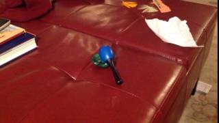 Information about a character who soft boils his own head because it is an egg screenshot 4