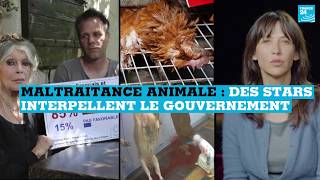 Maltraitance animale : ces stars qui interpellent le gouvernement français