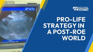Pro-Life Strategy in a Post-Roe World | EWTN News In Depth June 21, 2024