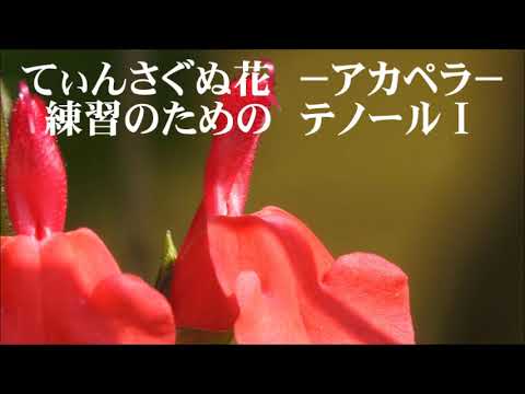 瑞慶覧尚子　てぃんさぐぬ花　テノールⅠ　「リーダーシャッツ２１」より