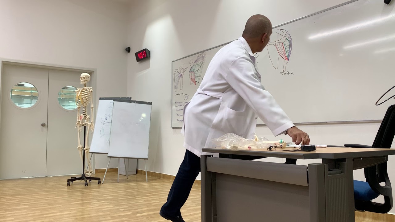 Muscles of shoulder region (Upper limb 6)