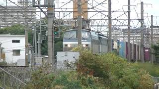 【カラシが久しぶりに来阪】JR貨物 EF66-121+EF65-2127+コキ 5085レ 南草津にて