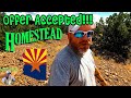 Arizona Homestead Land ~ Offer Accepted on 1 Acre ~ Future Plans