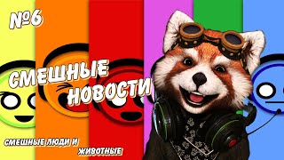 😂 Самые смешные новости, животные, люди, птицы, мир и смех #6😂