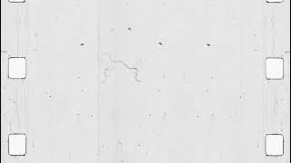 old film overlay effect