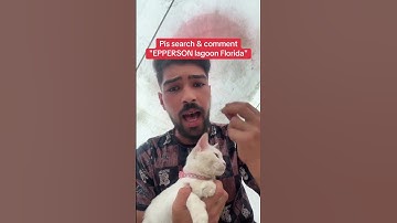 Donation link in bio. Please do all you can to donate any amount tohelp #shorts #help #care#love