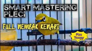 Smart Mastering Pleci Full Kenari