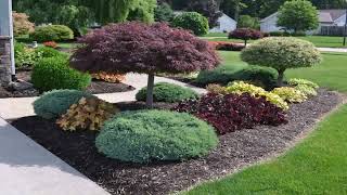 Small Front Yard Landscaping Ideas On A Budget