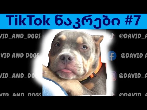 TikTok ნაკრები #7 - ჰინატას ტიკტოკები @DavidAndDogs
