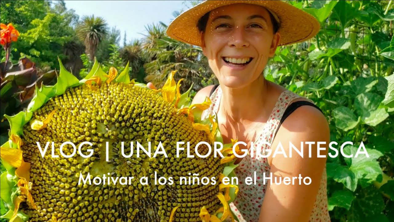 VLOG | Мы собрали гигантский цветок! И вот как мои дети растут в #саду. #Подсолнухи