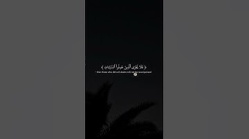 Surah Surah Al-Qasas 84 سورة القصص @NoCreditQuranOverlay #qurancadence