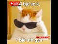 Watching Rudy's Unboxing Stream &amp; then Valorant Live Stream India/NA, Rocket League &amp; GTA RP maybe
