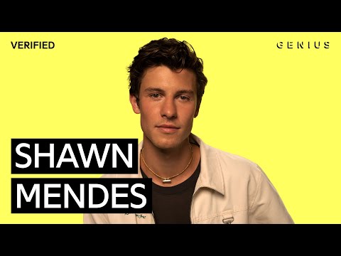 Shawn Mendes "When You're Gone" Official Lyrics & Meaning | Verified