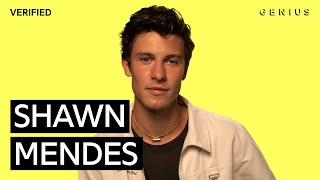 Vignette de la vidéo "Shawn Mendes "When You're Gone" Official Lyrics & Meaning | Verified"