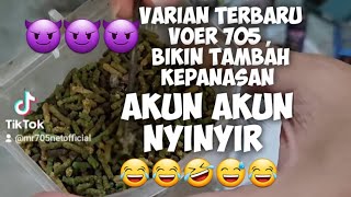 Voer 705 Black Premium Dicampur Green Premium Malah Makin Bongkar Isian