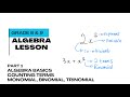 Algebra: Grade 8 & 9 Algebraic Expressions - Basics/Introduction With Examples Part 1