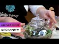 Флорариум \ Как сделать цветочный сад в маленьком чайнике \ Цветы и декор