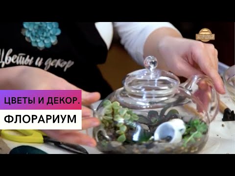 Флорариум  Как сделать цветочный сад в маленьком чайнике  Цветы и декор