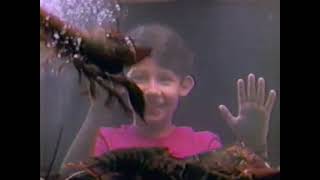 Winn Dixie (1994) Television Commercial - Huntsville, Alabama