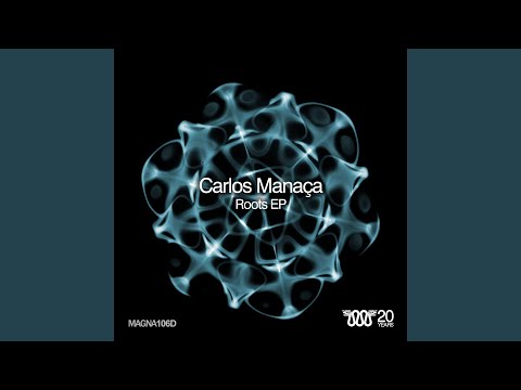 This Is the Police (Original Mix)