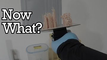 What To Do When Your 3D Resin Print Fails