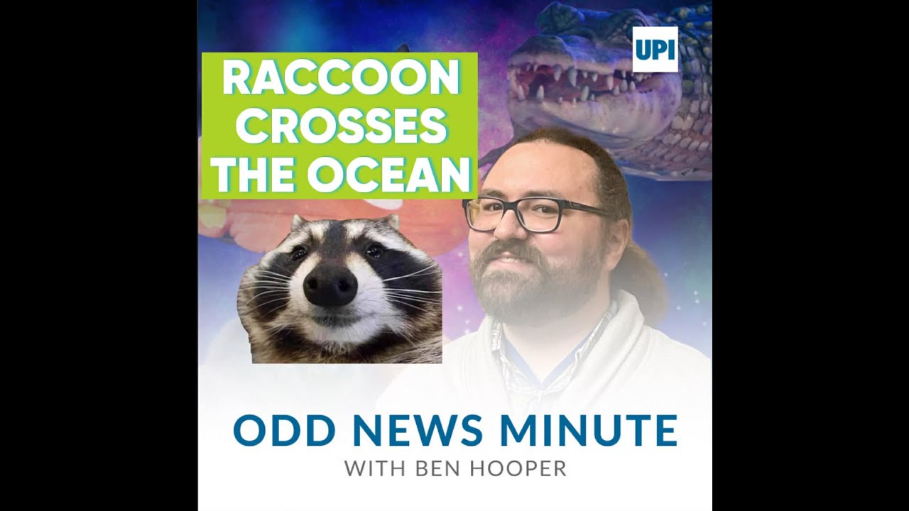 Odds and Ends: Stowaway raccoon, Dolly Parton the donkey