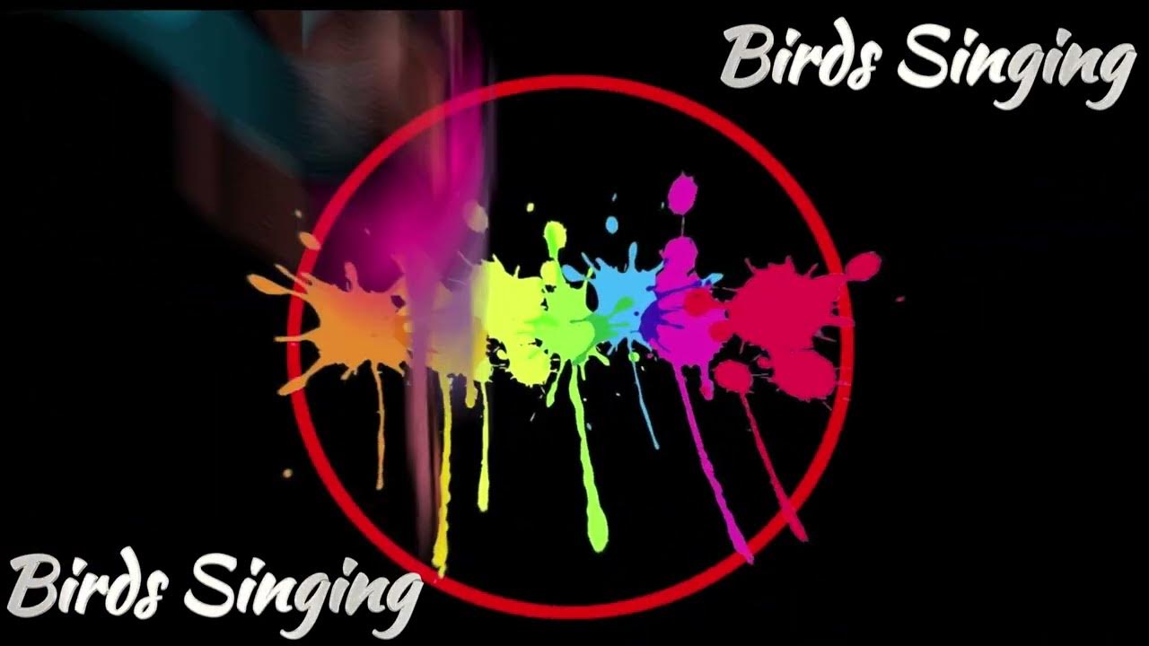 Nature s Melody Birds Singing Sound Effects For Creative Bliss YouTube nature-s-melody-birds-singing-sound-effects-for-creative-bliss-youtube