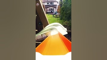 Hot Wheels Roller Coaster #Shorts