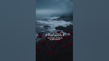 سورة الحجر الآيات{ ٧١ - ٨٥ } #quran #المصحف #اكسبلور #shortvideo #راحة_نفسية #حالات_واتس #لايك #تيك_