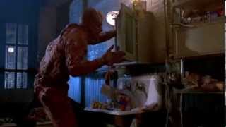 The Fly 1986 The Brundle Fly Museum Of Natural History