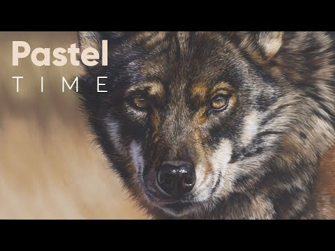 Realistic Wolf in Soft Pastel - Timelapse