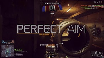 Battlefield 4 Cheating (ft. PerfectAim.io)