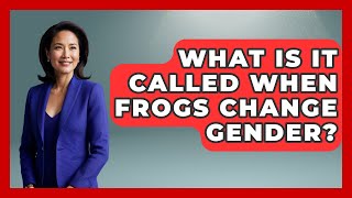 What Is It Called When Frogs Change Gender? - Gender Equality Network