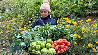 FULL VIDEO: 90 Days of harvesting chayote, tomatoes, and carrots to sell at the market