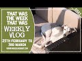 Weekly Vlog - March 2021 - WK#1