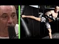 What Joe Rogan Does Everyday to be Healthy