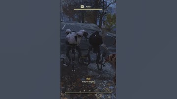 Mia and Vlad the malfunctioning robots #fallout #fallout76 #appalachia #gaming