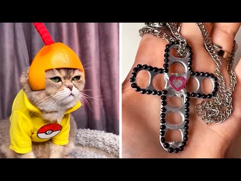 Популярное из Тик Ток (80 часть)