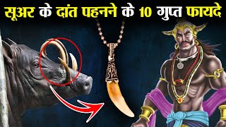 रावण ने कहा था सुवर के दांत पहनने से होते हैं ये 10 चमत्कार ! | 10 Miracles of Wearing Pig Teeth!