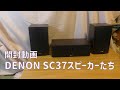 DENON SC37スピーカーを買いました。