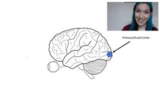 Using electrical brain stimulation to treat Charles Bonnet Syndrome, Kat Da Silva Morgan