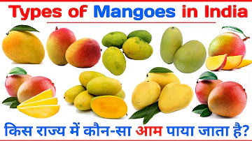 Types of Mango | Mango Name | Varieties of Mangoes | Indian Mango Name